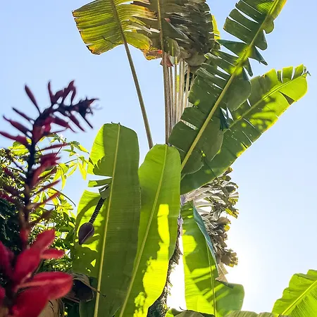 Bahia Mar Pousada-2